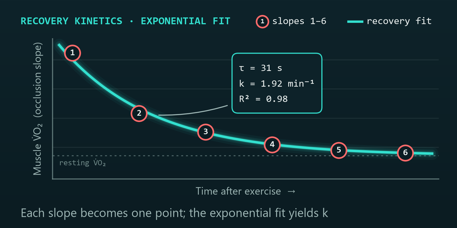 The six occlusion slopes plotted against time after exercise and fitted with a mono-exponential recovery curve, yielding the rate constant k